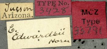 Media type: image;   Entomology 33791 Aspect: labels